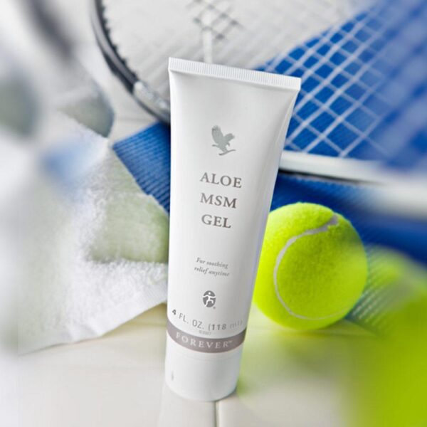 Aloe MSM Gel