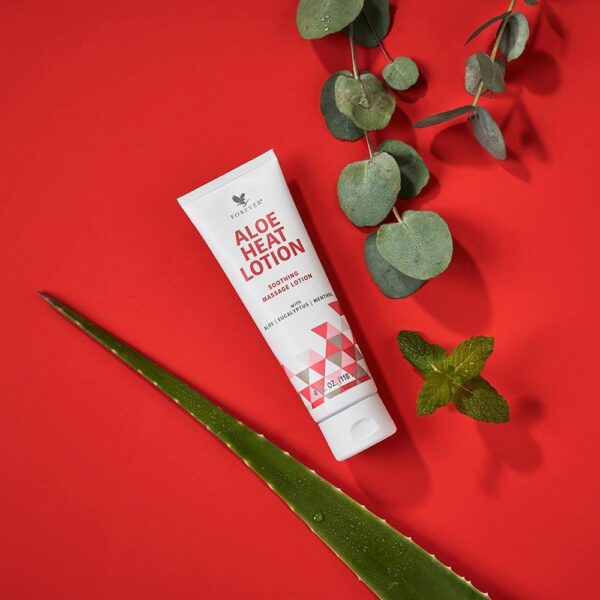Aloe Heat Lotion