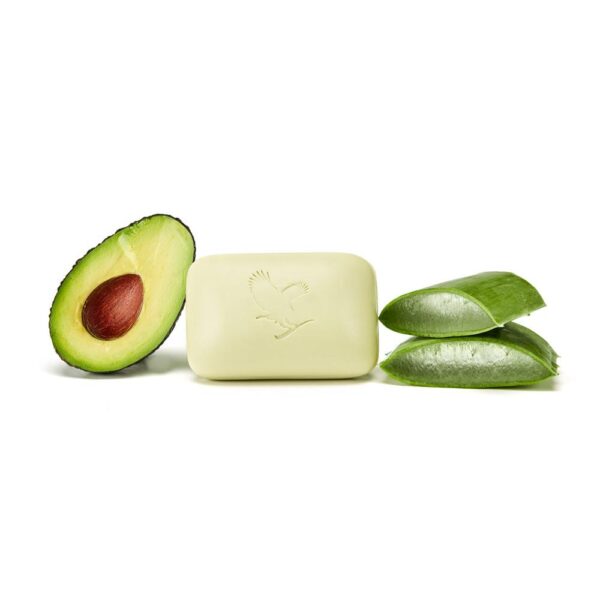 Aloe Avocado Face & Body Soap